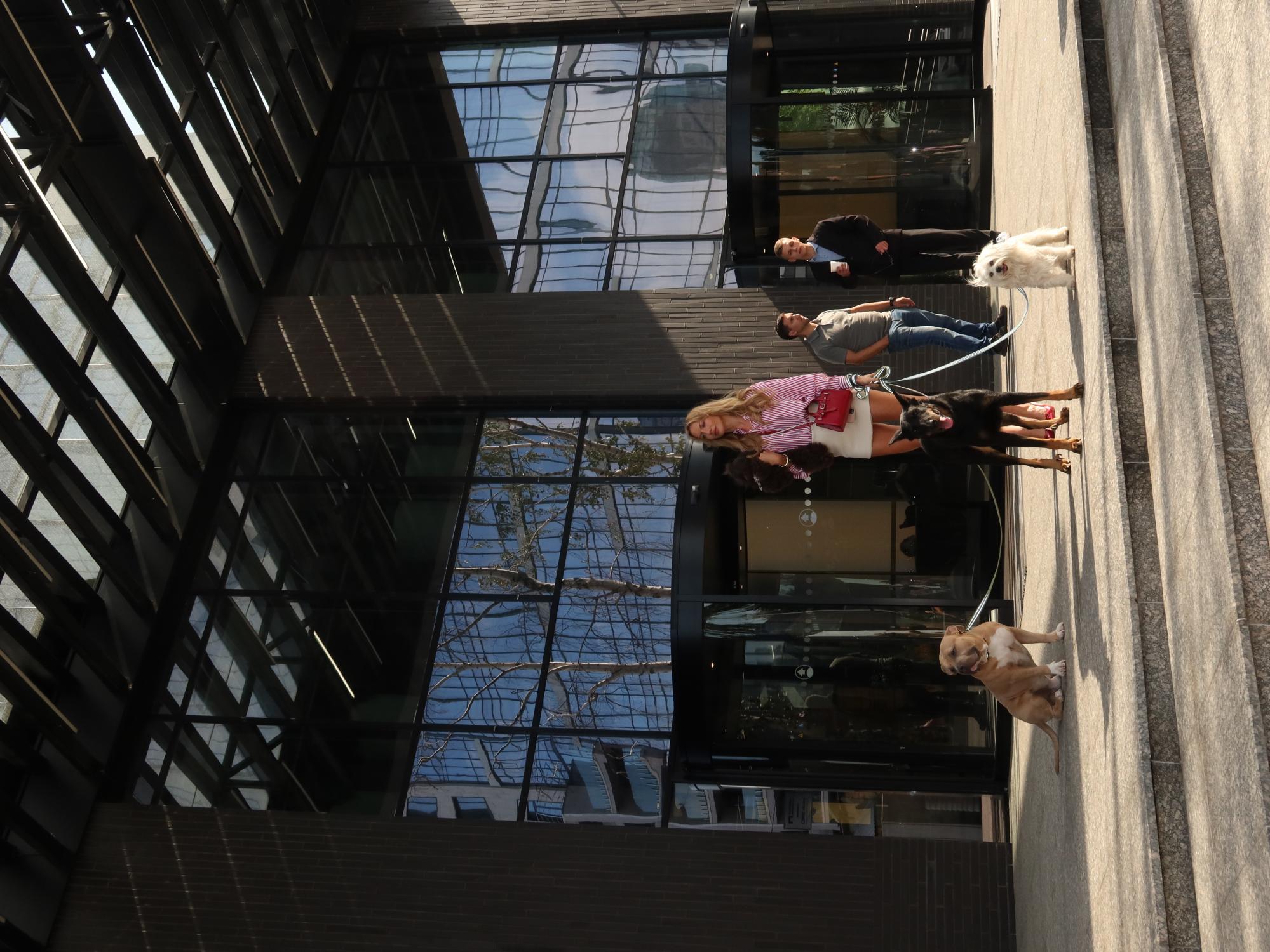 Дебют Лесі Нікітюк і особлива місія. Цікаві факти про фільм &quot;Песики&quot; і коли він вийде